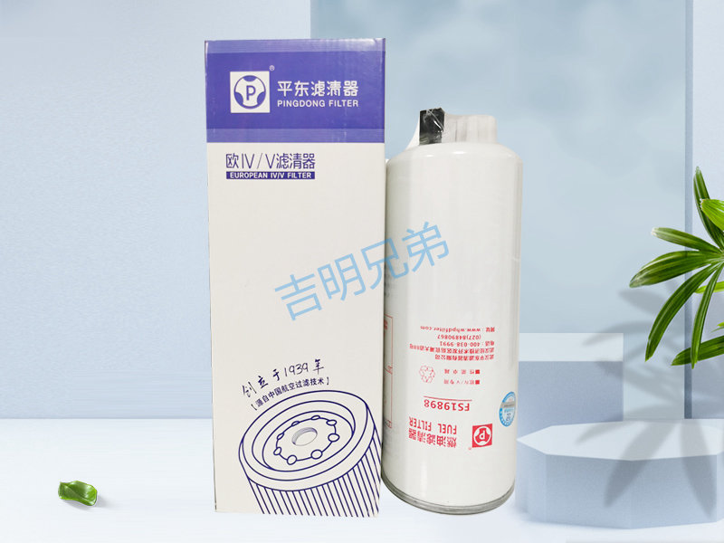 FS19898-武汉平东滤清器