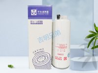 FS19898-武汉平东滤清器